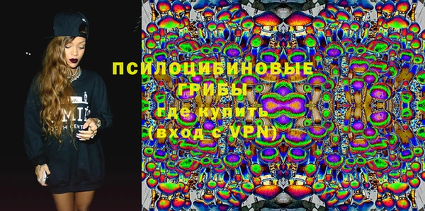 стаф Сясьстрой