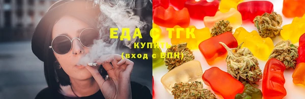 стаф Сясьстрой