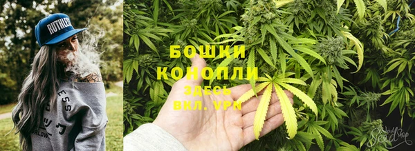 стаф Сясьстрой