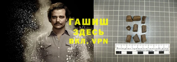стаф Сясьстрой